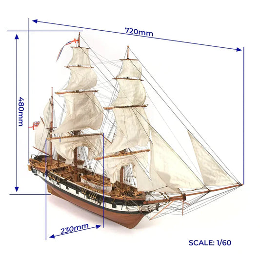 Occre HMS Beagle Wooden Ship Model Kit, 1:60 Scale (1820)