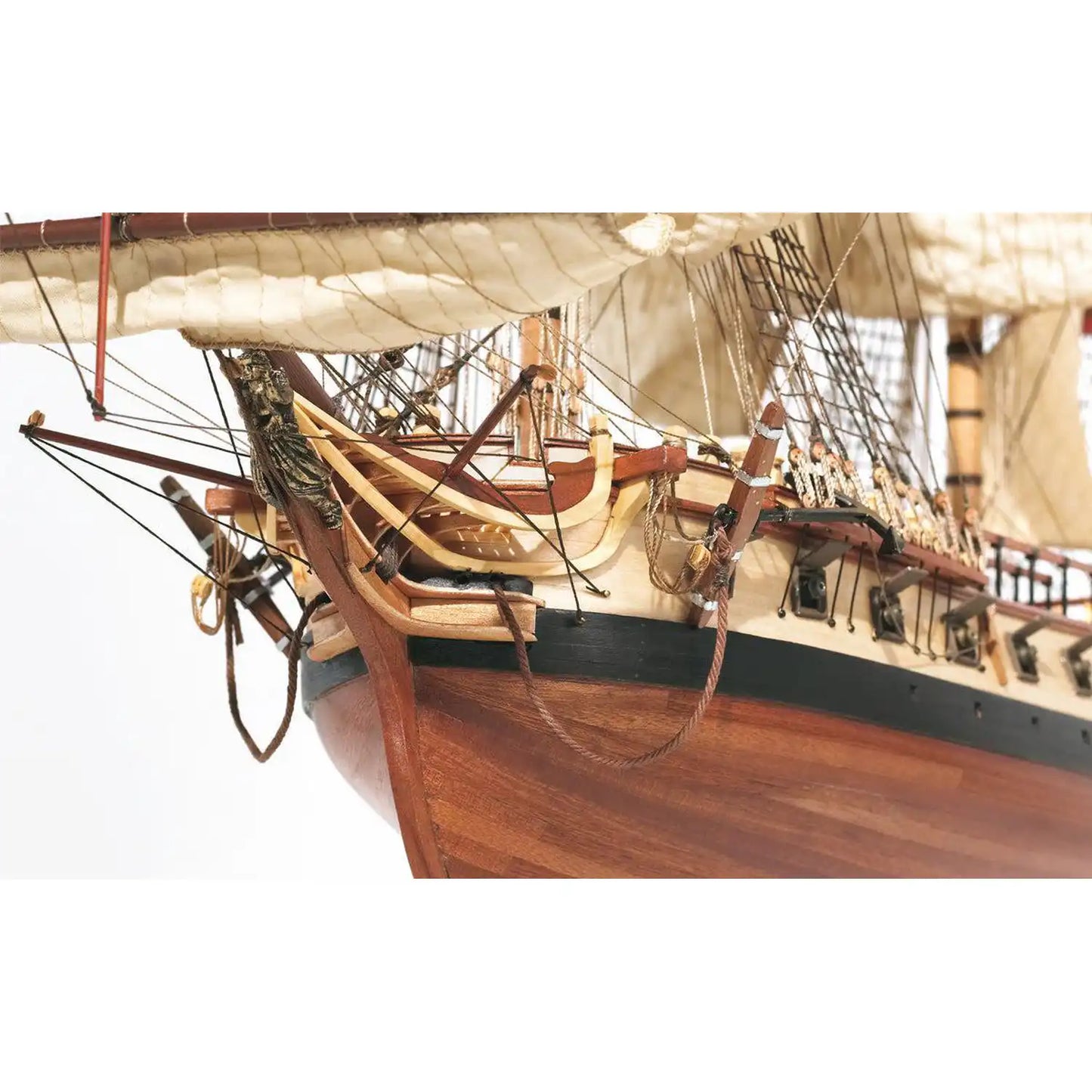 The Frigate Diana