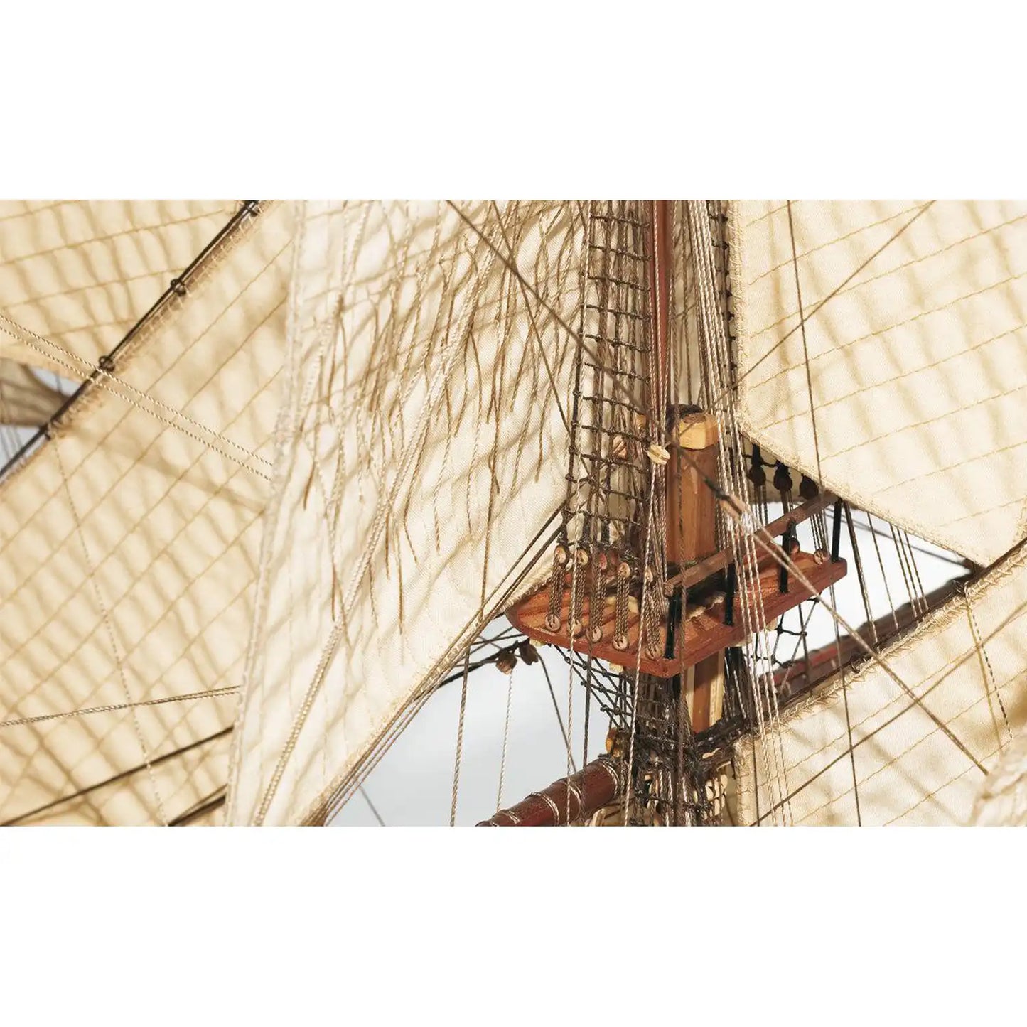 The Frigate Diana