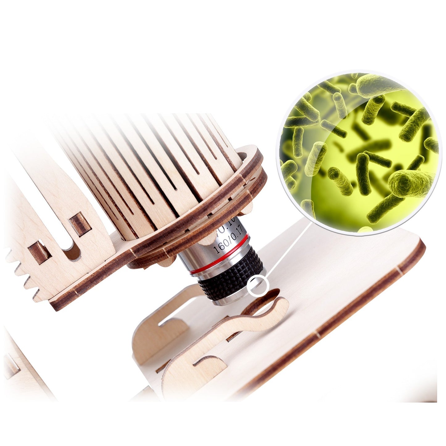 Mr.Playwood Microscope Wooden 3D Puzzle, Model 10003
